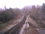 Buckfastleigh Looking Up